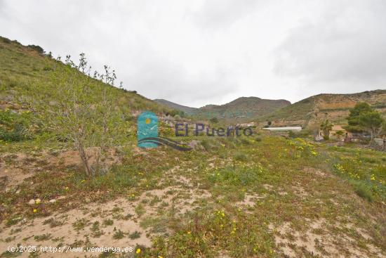 TERRENO RURAL EN VALDELENTISCO, MAZARRÓN – REF 59 - MURCIA