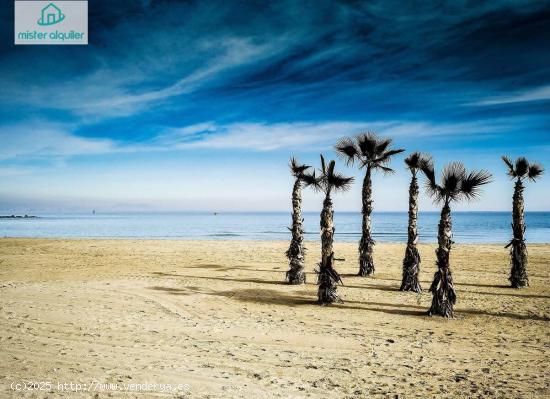 Se Alquila en El Campello - ALICANTE