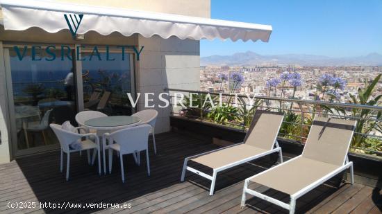 Se Vende en Alicante - ALICANTE