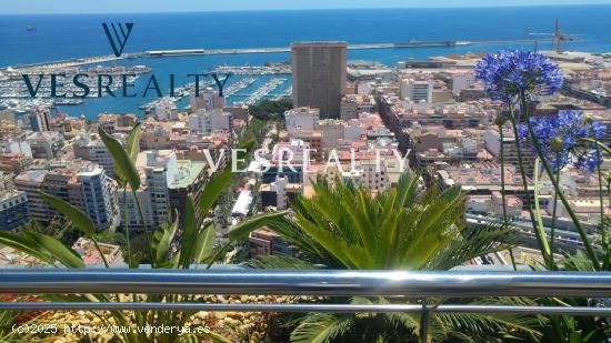 Se Vende en Alicante - ALICANTE