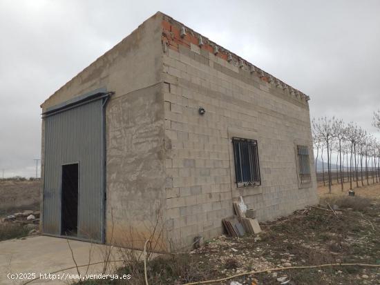 FINCA DE 15,8 HA. DE ALMENDROS Y PAULONIAS CON NAVE  EN YECLA - MURCIA