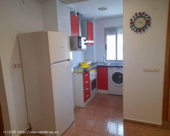 Apartamento en alquiler en Murcia (Murcia)