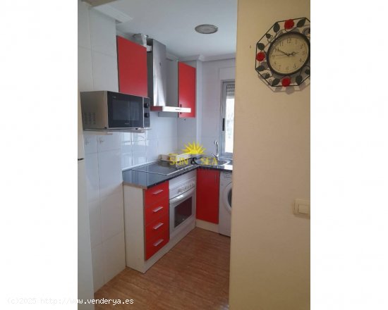 Apartamento en alquiler en Murcia (Murcia)