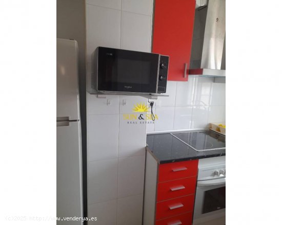 Apartamento en alquiler en Murcia (Murcia)