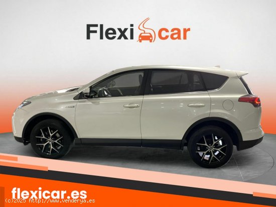 Toyota Rav4 2.5l hybrid 2WD Advance Pack Drive - Murcia