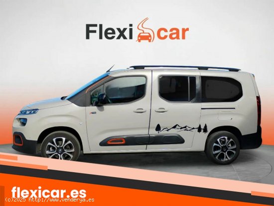 Citroën Berlingo Talla XL BlueHDi 130 S&S 6v FEEL PACK - Gijón