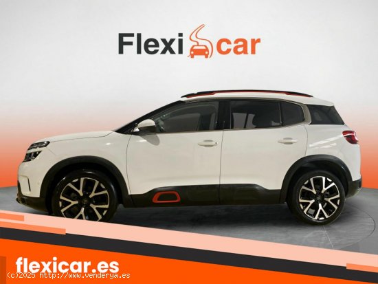 Citroën C5 Aircross PureTech 96kW (130CV) S&S C Series - Vitoria-Gasteiz