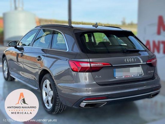 AUDI A4 Avant en venta en Badajoz (Badajoz) - Badajoz