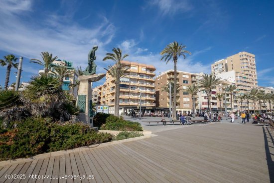 Apartamento en venta en Torrevieja (Alicante)