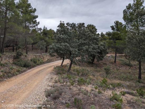 Se Vende en Rafales - TERUEL