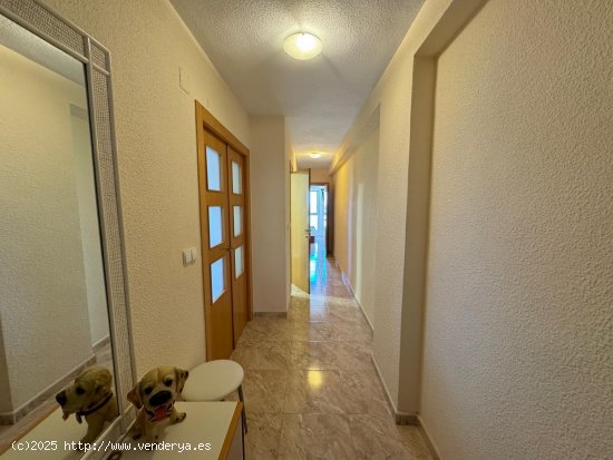 Apartamento en venta en Torrevieja (Alicante)