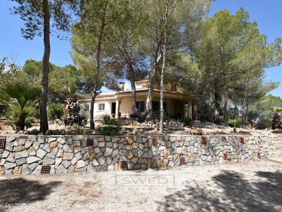 Finca en venta en Torrevieja (Alicante)