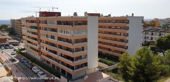 Piso en venta en Torrevieja (Alicante)