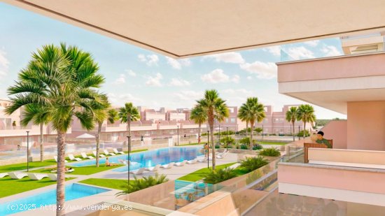 Apartamento en venta a estrenar en Pilar de la Horadada (Alicante)