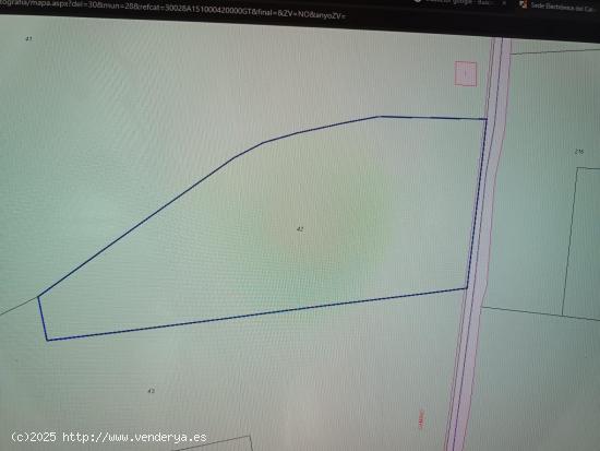 SE VENDE SOLAR RUSTICO EN CAMINO PUENTE DE HELLIN , MORATALLA - MURCIA