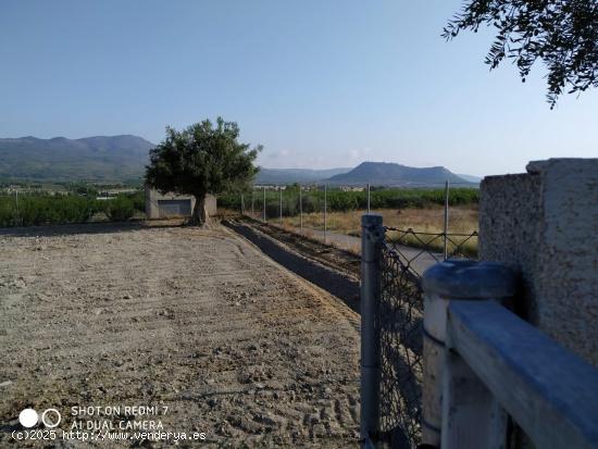 SE VENDE SOLAR RUSTICO EN CAMINO PUENTE DE HELLIN , MORATALLA - MURCIA