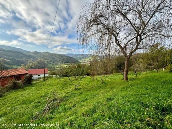 CASA Y PARCELA DE BIMENES. - ASTURIAS