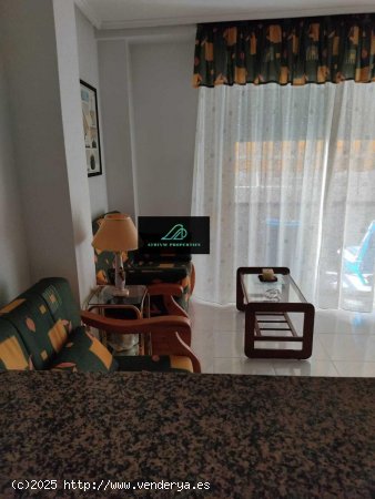  Apartamento en alquiler en Torrevieja (Alicante) 