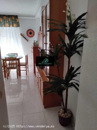 Apartamento en alquiler en Torrevieja (Alicante)