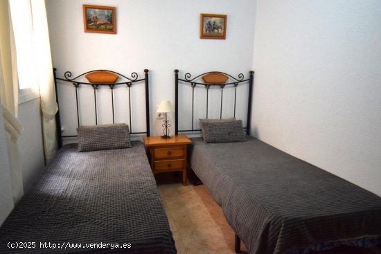  Apartamento en alquiler en Guardamar del Segura (Alicante) 