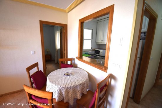 Apartamento en alquiler en Guardamar del Segura (Alicante)