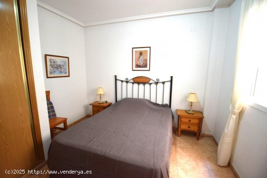 Apartamento en alquiler en Guardamar del Segura (Alicante)