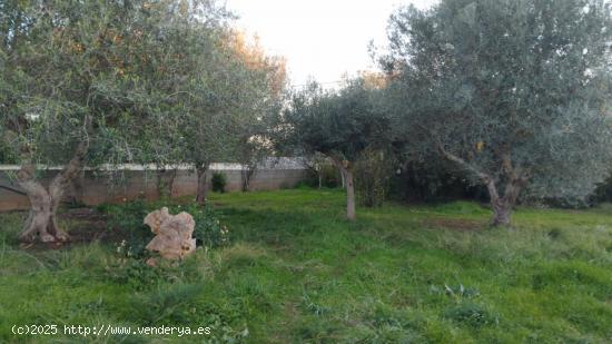 Se Vende en Manacor - BALEARES