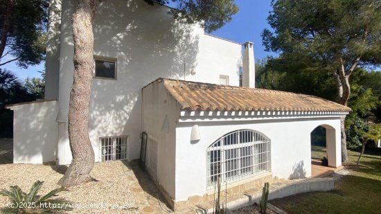 Villa en venta en Orihuela (Alicante)