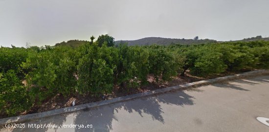 Suelo rústico en venta  en Oliva - València