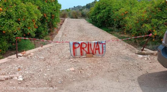 Suelo rústico en venta  en Oliva - València