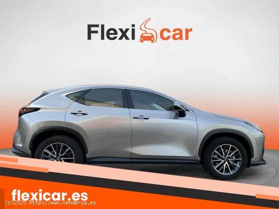 Lexus NX 350h Luxury 4WD - Blanes