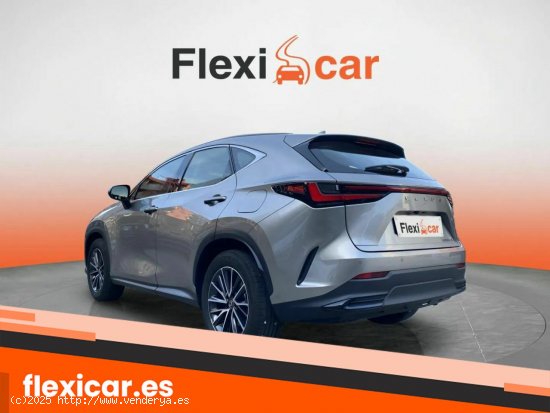 Lexus NX 350h Luxury 4WD - Blanes