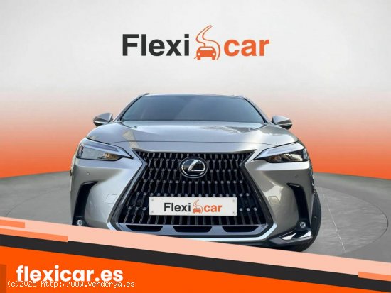 Lexus NX 350h Luxury 4WD - Blanes