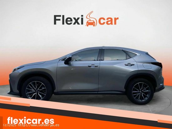 Lexus NX 350h Luxury 4WD - Blanes