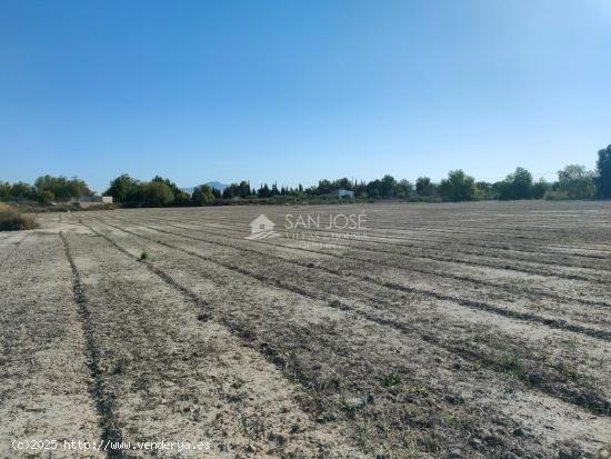 inmobiliaria san José vende parcela rustica en carretera de Monforte - ALICANTE