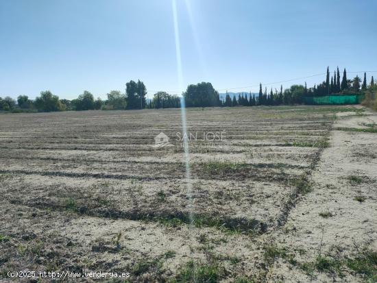 inmobiliaria san José vende parcela rustica en carretera de Monforte - ALICANTE