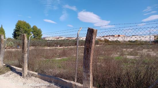 VENTA DE SOLAR EN MOLINA DE SEGURA - MURCIA