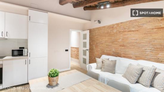 Cómodo apartamento en el centro de Barcelona - BARCELONA