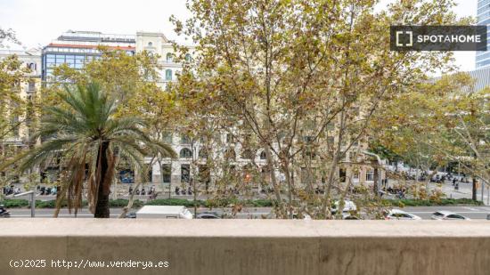 Amplio, acogedor y bien ubicado en el barrio de Sant Gervasi – Galvany. - BARCELONA