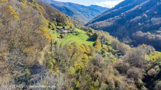 Espectacular caserío tradicional asturiano en Quirós. - ASTURIAS