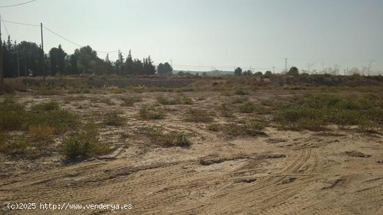 Terreno No Urbanizable - Alhama de Murcia - MURCIA