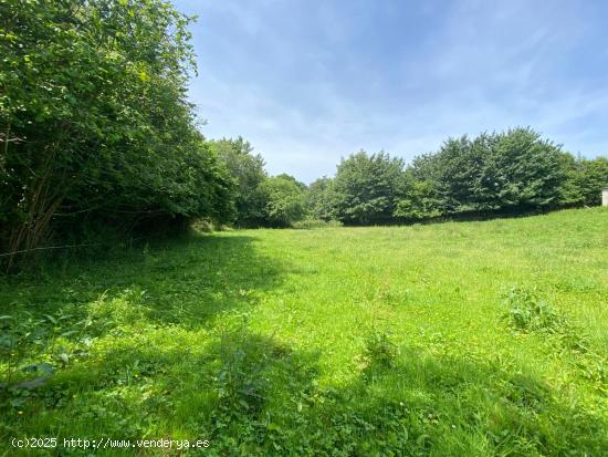 VENTA DE FINCA A 4 KM DE RIBADESELLA - ASTURIAS