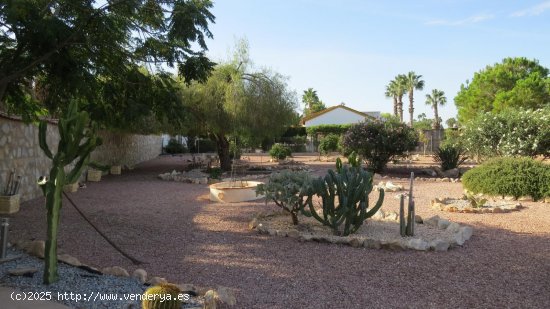 Finca en venta en Daya Vieja (Alicante)