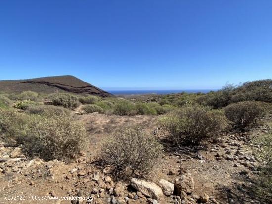 TERRENO EN VENTA EN GRANADILLA DE ABONA - SANTA CRUZ DE TENERIFE