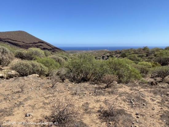 TERRENO EN VENTA EN GRANADILLA DE ABONA - SANTA CRUZ DE TENERIFE