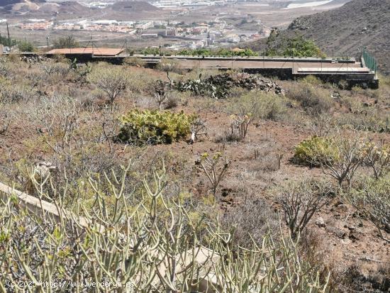 Se Vende en San Miguel de Abona - SANTA CRUZ DE TENERIFE