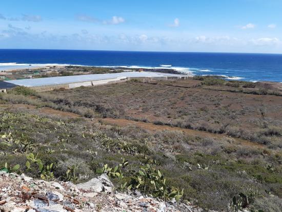 Se Vende en San Cristobal de La Laguna - SANTA CRUZ DE TENERIFE