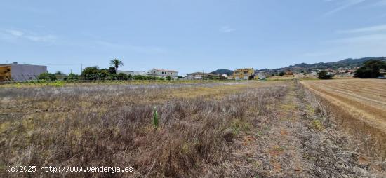 Se Vende en San Cristobal de La Laguna - SANTA CRUZ DE TENERIFE