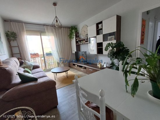 Piso en venta  en Sabadell - Barcelona