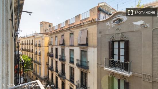 Se alquilan habitaciones en un apartamento de 6 dormitorios en Ciutat Vella - BARCELONA